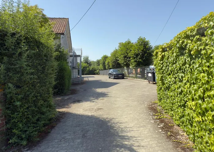 Rachel 01 דירה מונס